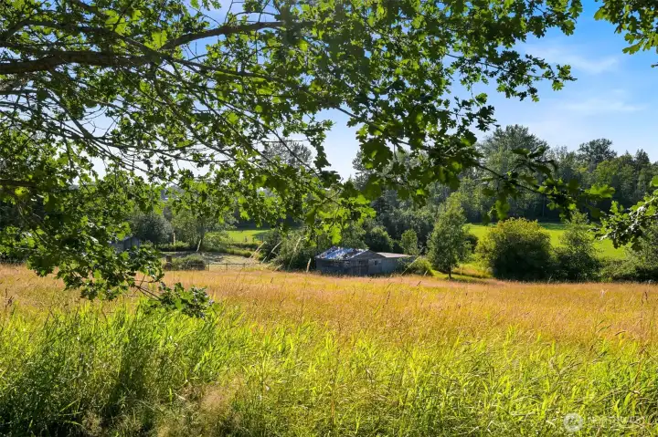 Barn at the corner of the property Barn at the corner of the property