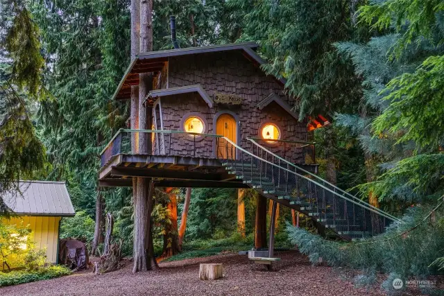 "Owl" treehouse