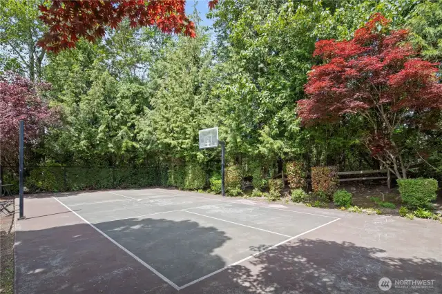 Community Sport court