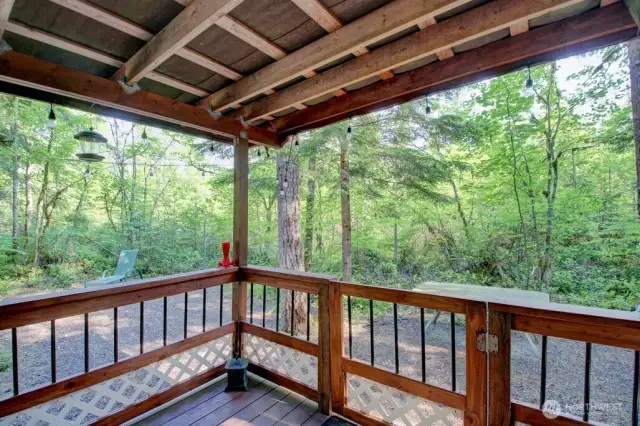 Surrounded by nature