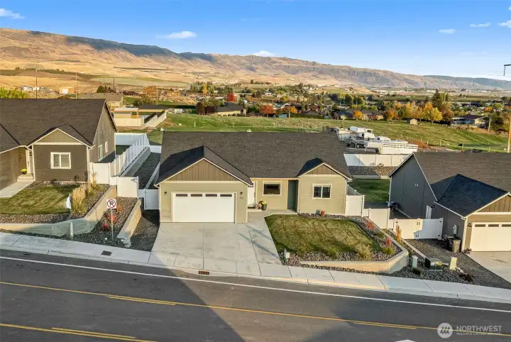 965 Macaw with a serene space to call home