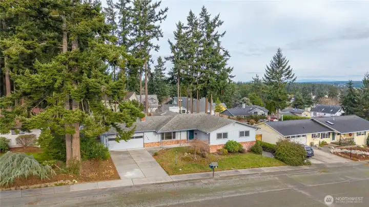 Arial view. Mt Baker is in the background covered by clouds!