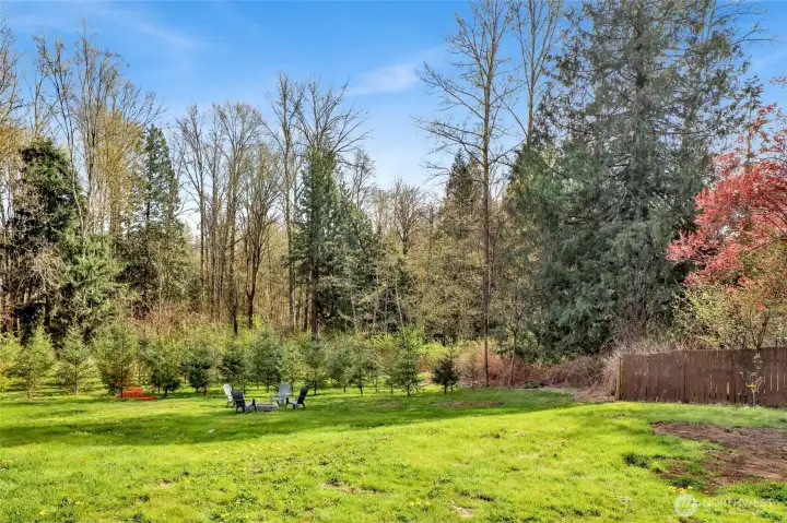 Enjoy peaceful views with no direct rear neighbors! Natural creek enhances the sense of tranquility and escape!