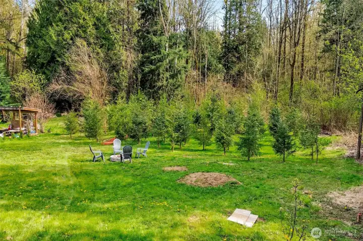 Enjoy outdoor living with plenty of space for  gatherings, gardening, or future possibilities for ADU