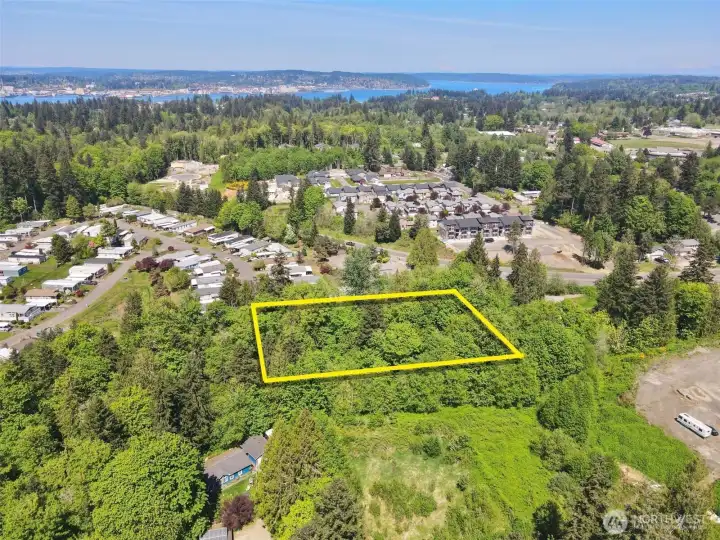 Overhead view with approximate boundary in yellow.