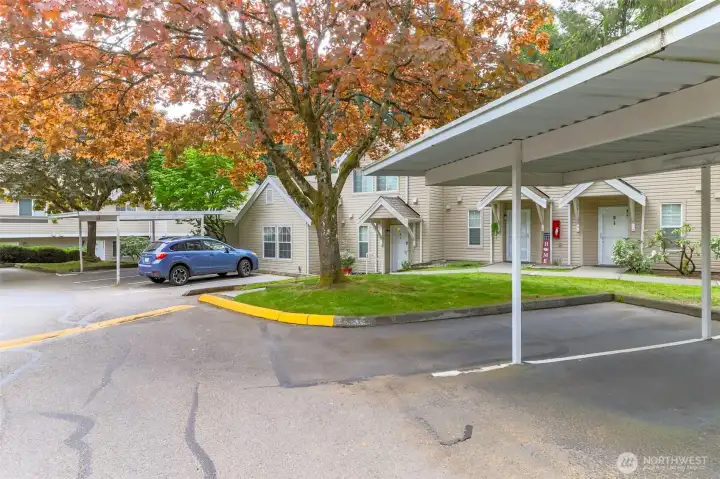 Parking Spot - Far Left under first carport