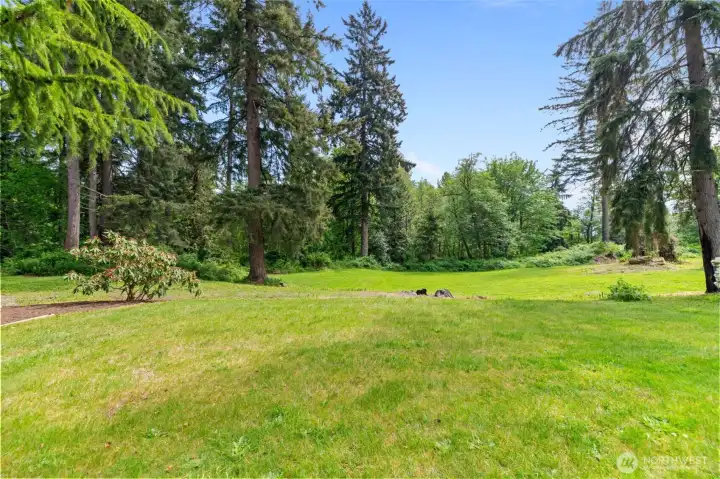 The main acreage space is cleared allowing all day natural light to flood the property. Enjoy privacy without compromising on sunlight.