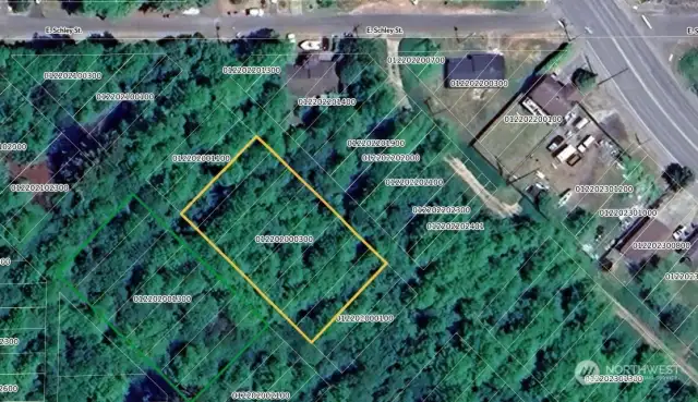 Green Outline is Subject Property, Yellow is Adjacent Property. Pulled From Grays Harbor County Website.