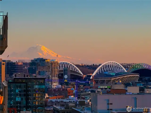 Location, Location, Location - Nestled just steps from the iconic Pike Place Market, this condo offers unparalleled access to the heart of downtown Seattle.