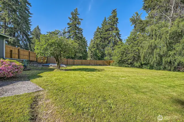 Back Yard with RV Parking Pad