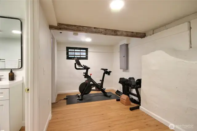 Den can function as office or gym!
