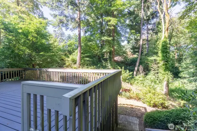 Large 1/3 acre wood lot