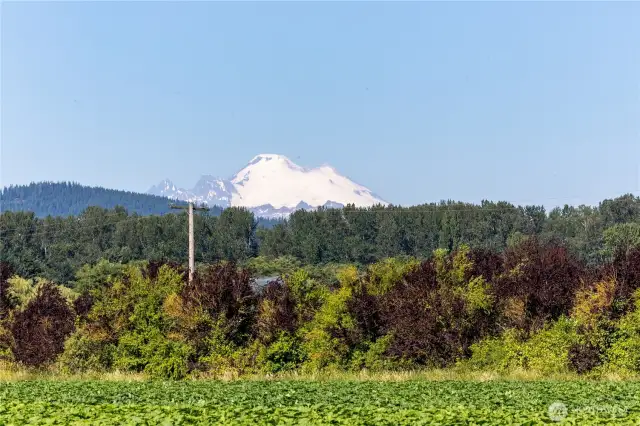 View of Mt Baker from front porch!