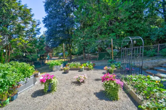 Fenced back yard area has garden space and room for pets.