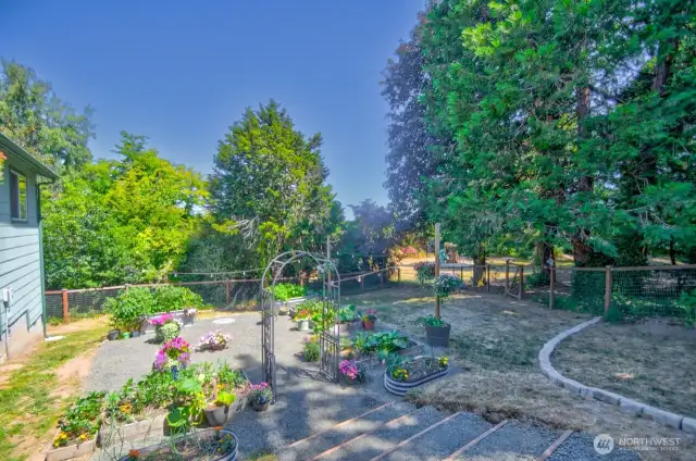 Another view of the fenced back yard.