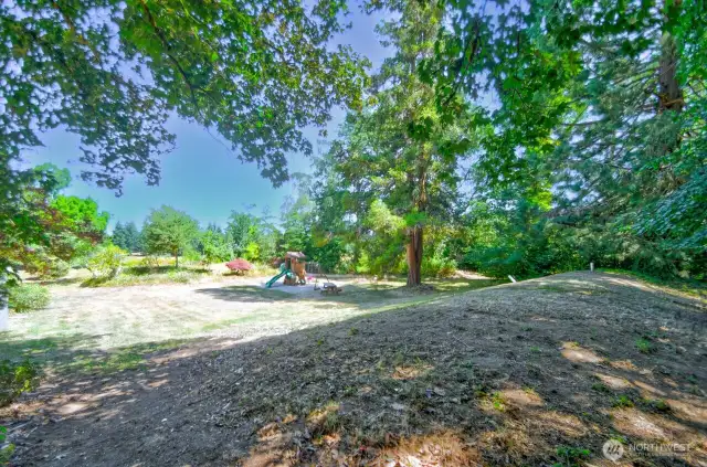 View from the back yard fence looking out to the field and play area.