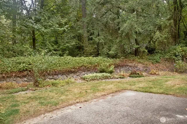 unit 2 backyard