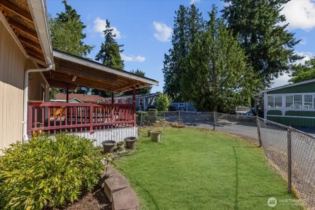 Fenced front yard - Grass has been enhanced for photos