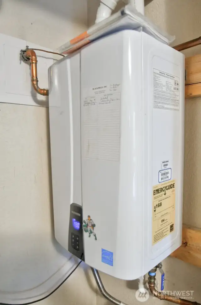 Tankless water heater
