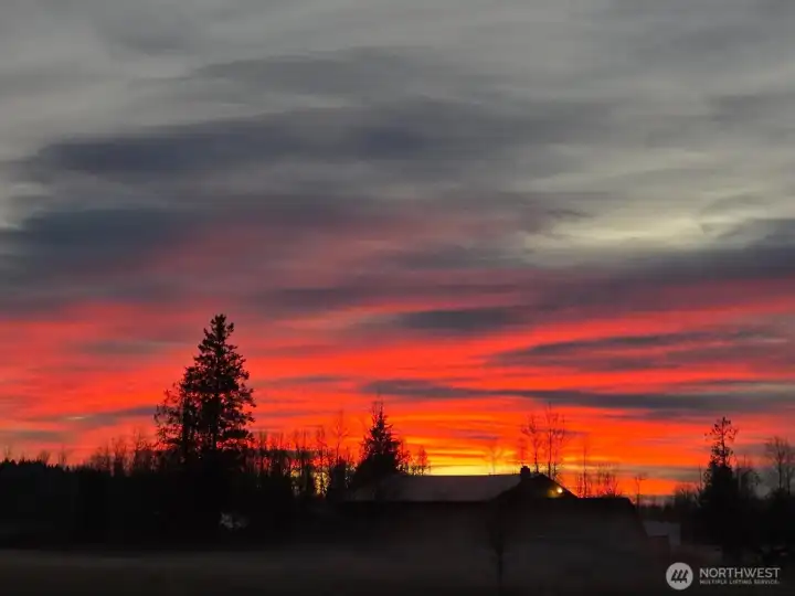Nightly sunset behind the actual home on sale at Blueberry Farm.