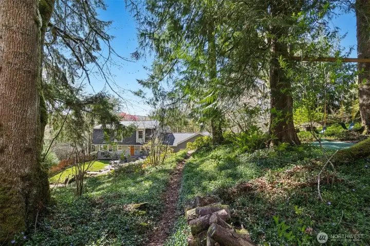 Trail on the property leading to the backyard.