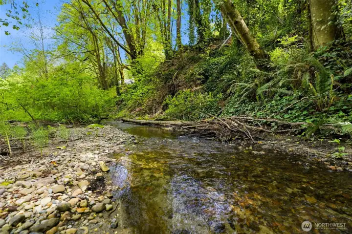 Beautiful stream across the street