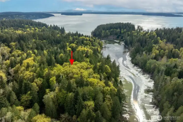 280 feet of waterfront is yours.  This Tidal Cove is so peaceful.