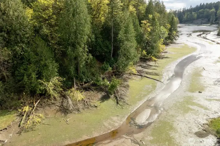 Easy access to the end of the Cove for launching your kayaks or row boats.