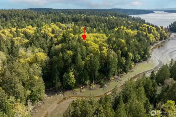 You can keep your kayaks and water toys at the bank of Dutcher's Cove.