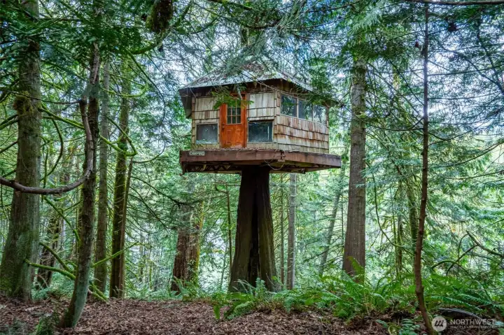 Stunning Tree House with a great story as to how it was constructed.
