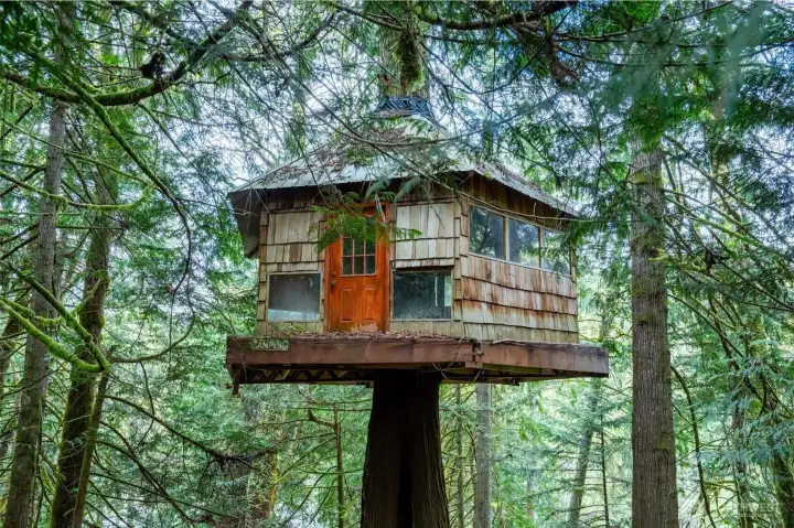 Another photo of this amazing tree house. Imagine the magical experience of sleeping is this Tree House! (Does need a bit of structural work)