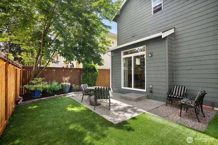 Good sized backyard with afternoon shade tree and lawn that is always green.