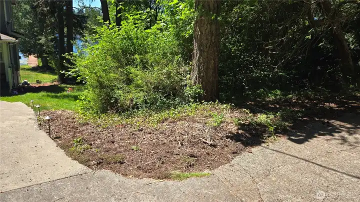Walk this way down to the lake, stay off the concrete sidewalk, it is the neighbors.