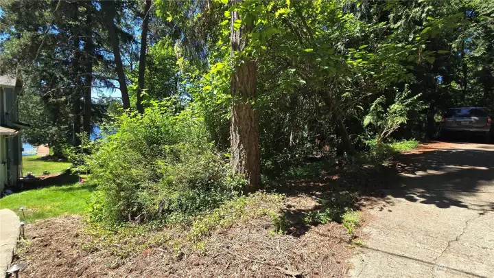 Easiest way to walk down the South property line to view the lower portion of the property, house to the left is not for sale and property line is close to it.