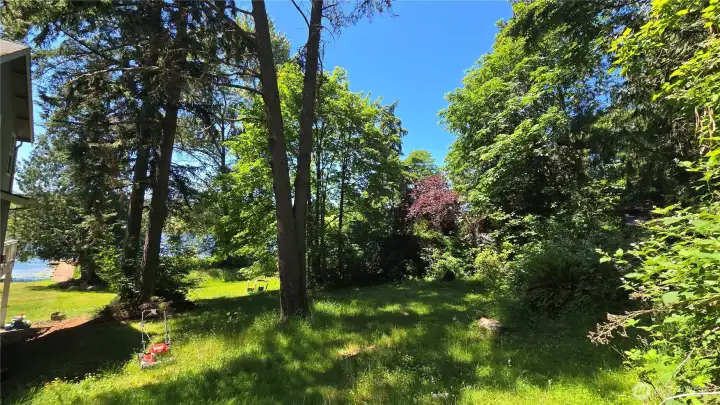 lower portion of the property at the lake.