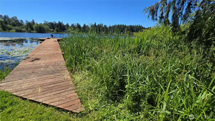 shared dock