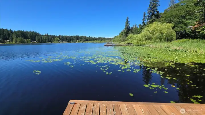 View of the lake.