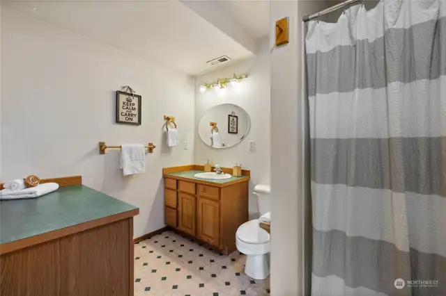 Lower Level full bathroom