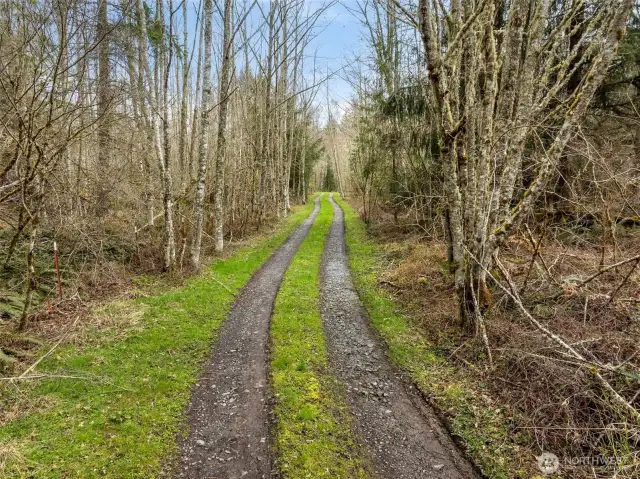 Easement from 456th St E to access property.