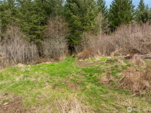 This area perked for 4 bedroom septic.