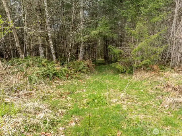 Area to the right is the proposed well site.