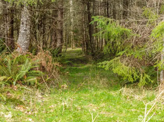 Follow the gentle carpeted path to the river.