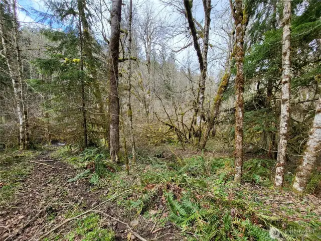 Flat bank areas on river, perfect for camping and swiming.