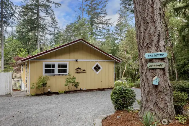 Welcome to the "Song Bird" House!