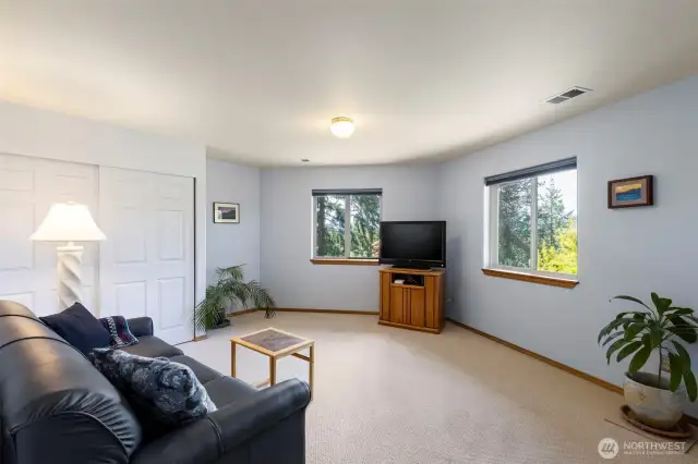 Lower level bedroom/flex room