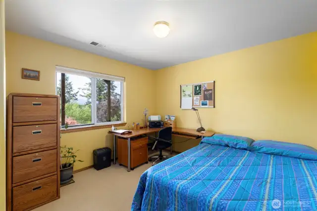 Lower level bedroom