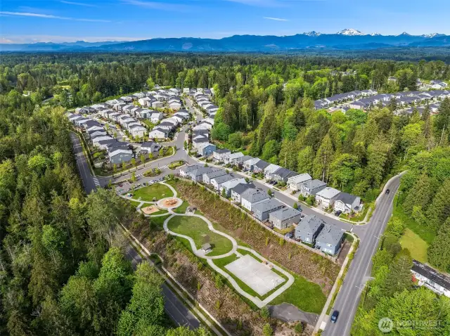 Beautiful Community Park