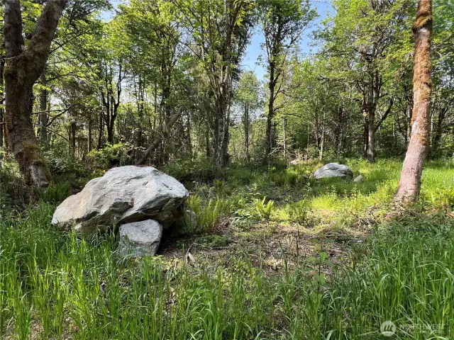 More boulders...