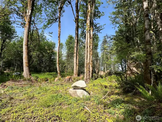 Lots of unique boulders on the site.