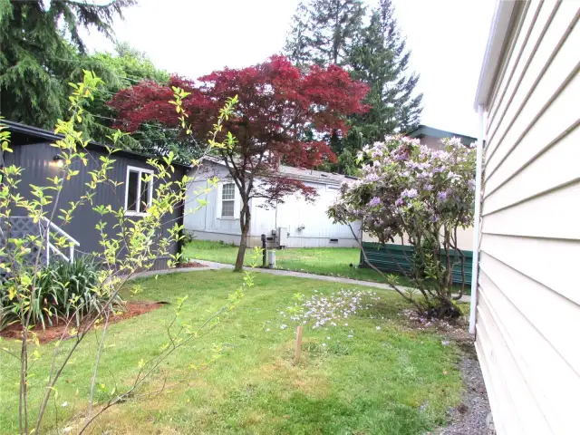 MATURE LANDSCAPING, SEMI-PRIVATE YARD AREA.